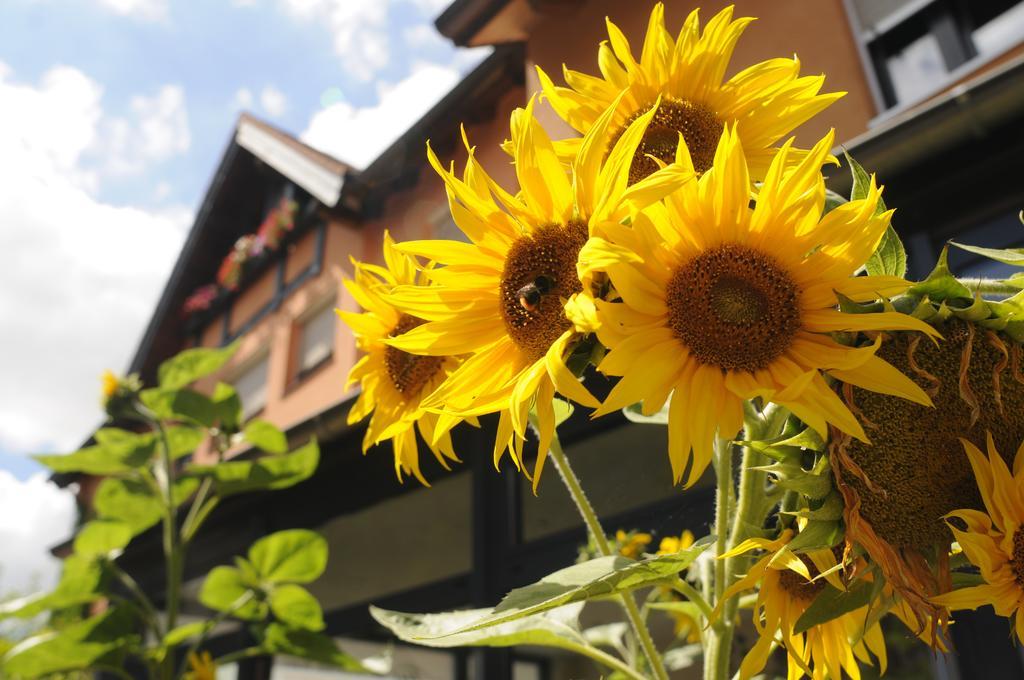 Bio Bayerischer Wirt Hotel